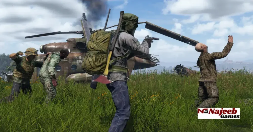 DayZ