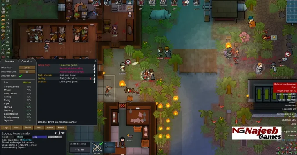 RimWorld